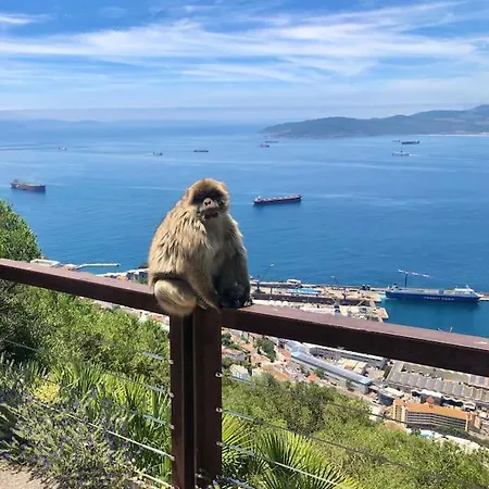 Sea View Apartment, Coto Real-duquesa, Milos